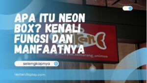 Apa Itu Neon Box